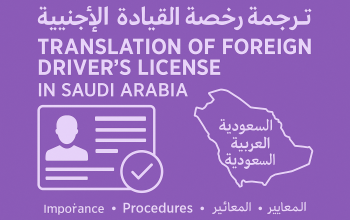 driver license Translation